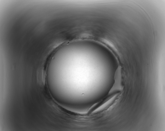 X0000088721219200706071613
