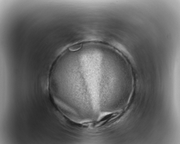 X0000088721220200706071613
