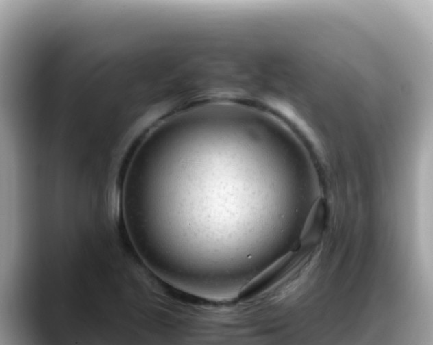 X0000088721221200706071613