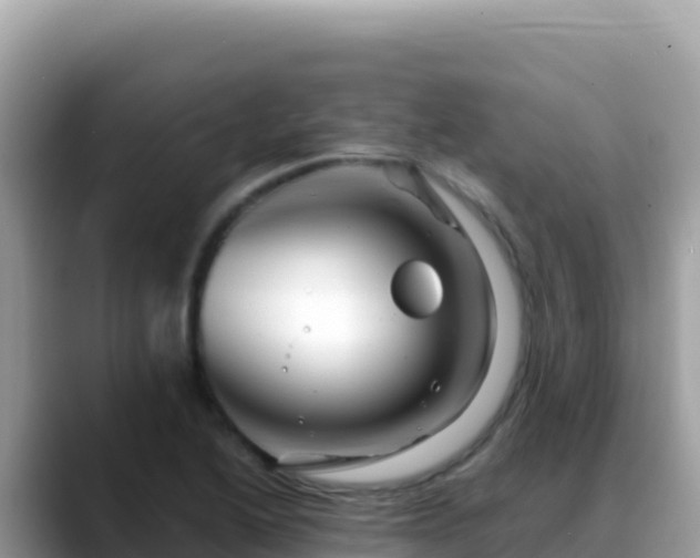 X0000088721222200706071613