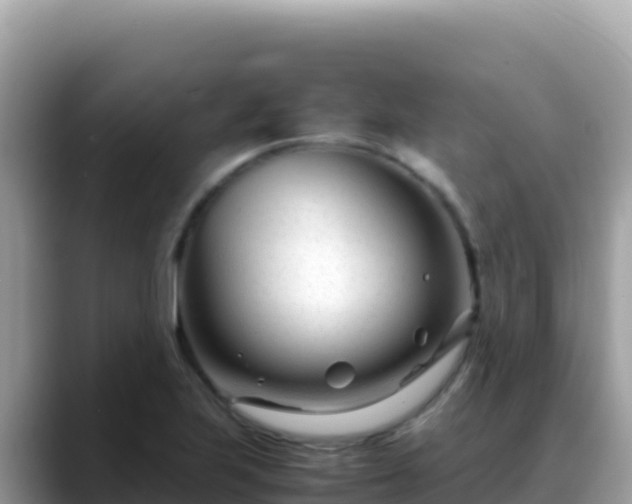 X0000088721223200706071613
