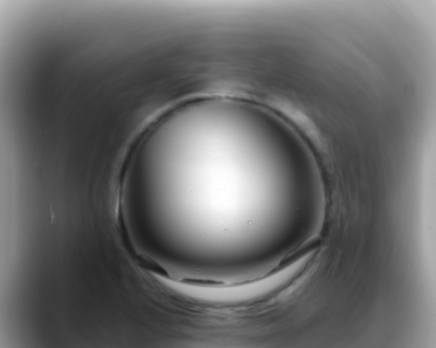 X0000088721224200706071613