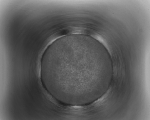 X0000088721227200706071613