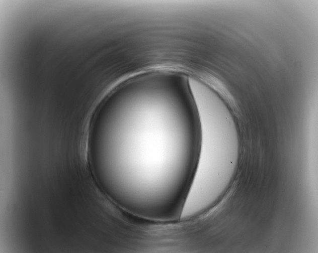 X0000088721228200706071613