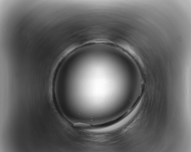 X0000088721229200706071613