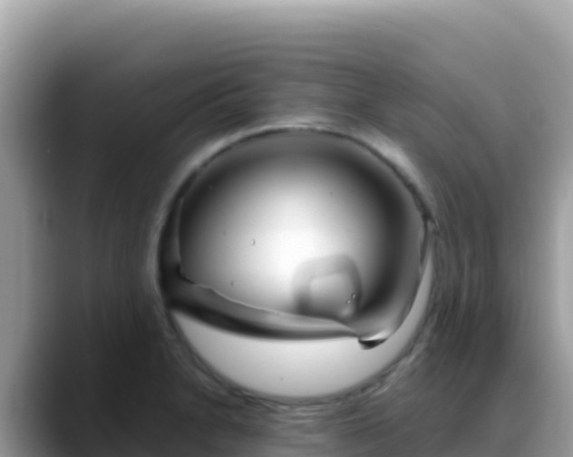 X0000088721230200706071613