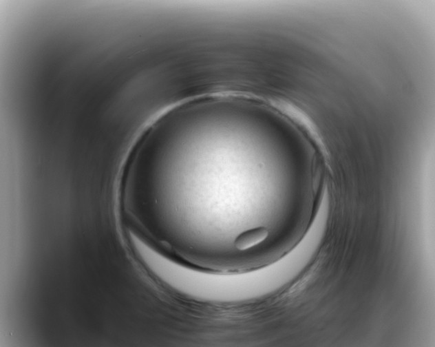 X0000088721231200706071613