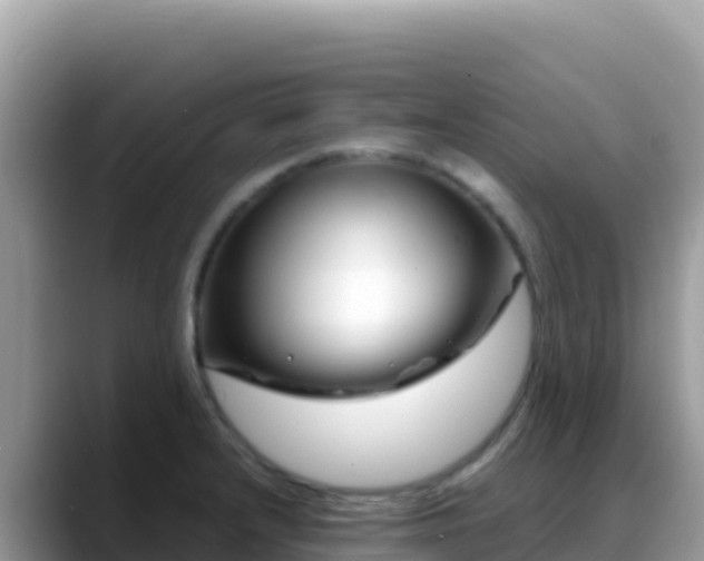 X0000088721232200706071613