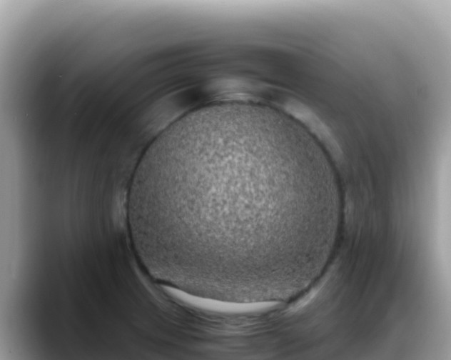 X0000088721233200706071613