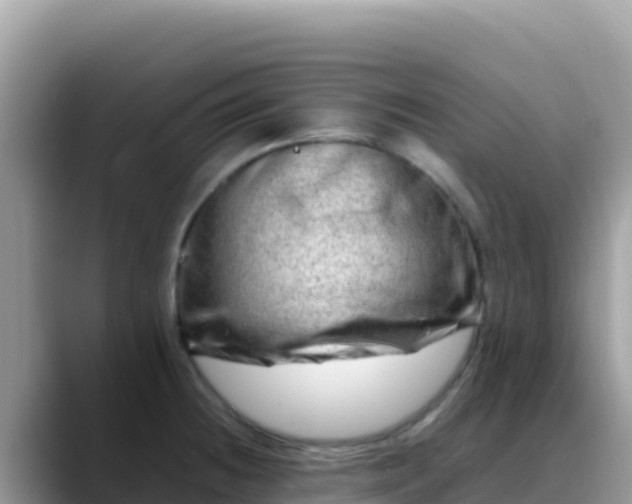 X0000088721236200706071613