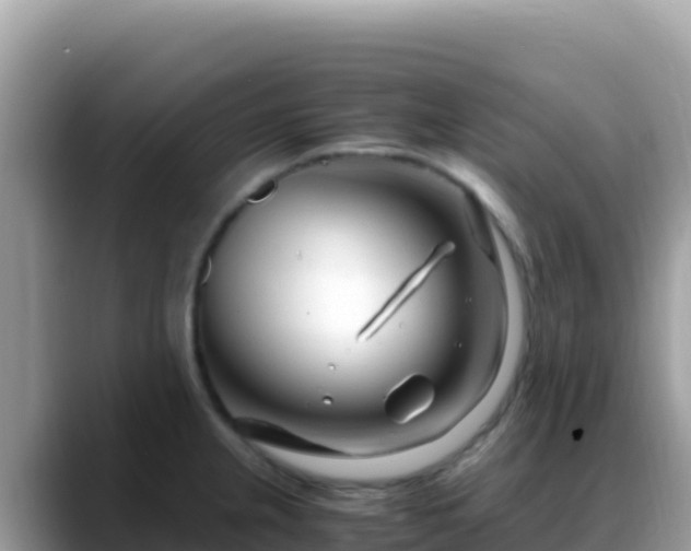 X0000088721237200706071613