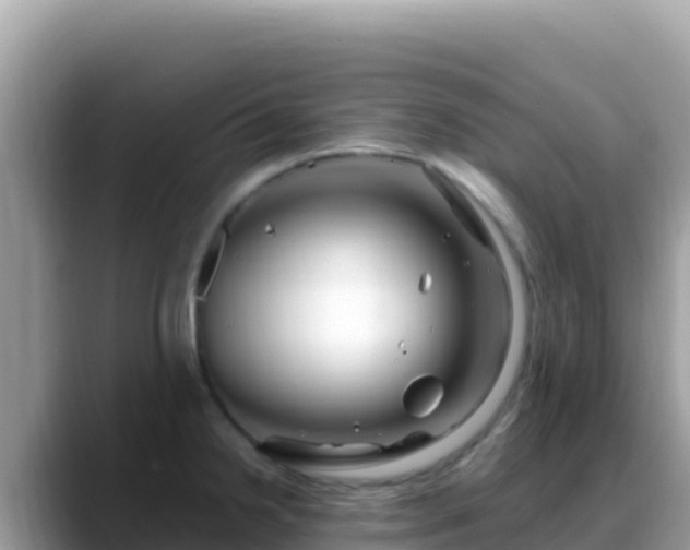 X0000088721238200706071613