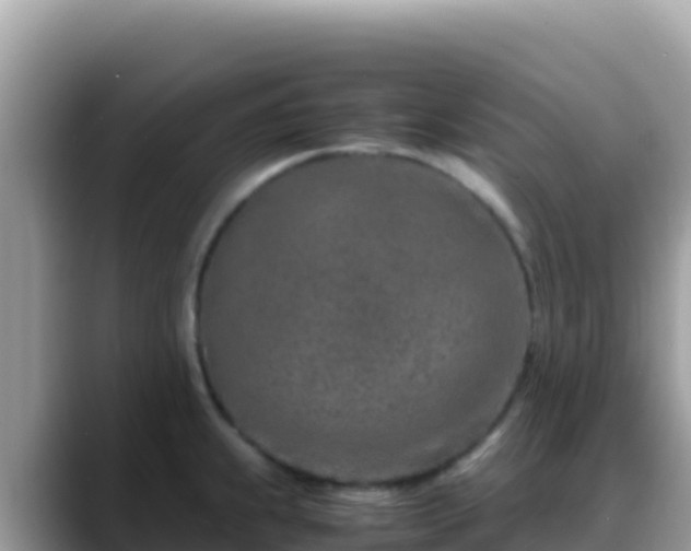 X0000088721239200706071613