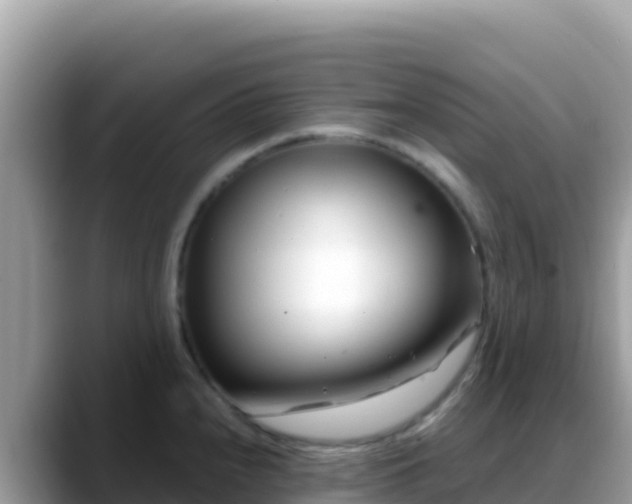 X0000088721240200706071613