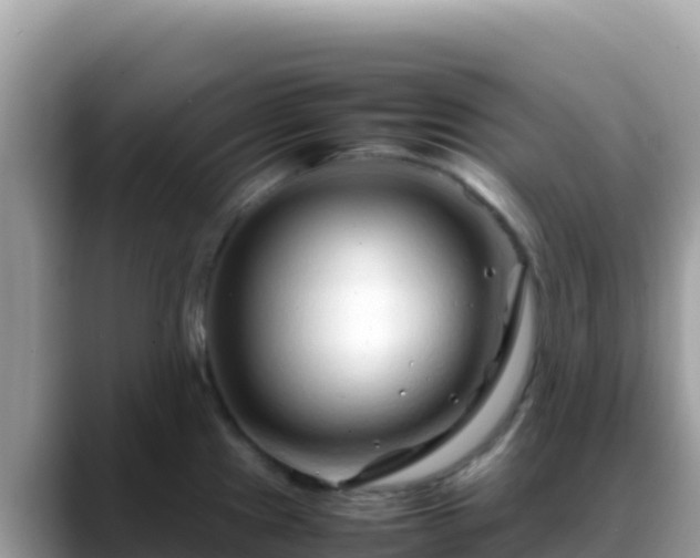 X0000088721241200706071613