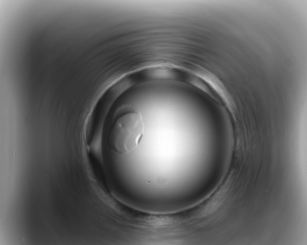 X0000088721242200706071613