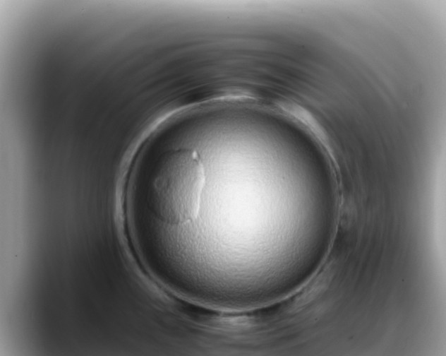 X0000088721243200706071613