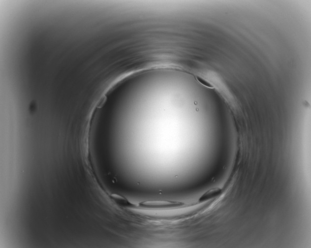 X0000088721244200706071613