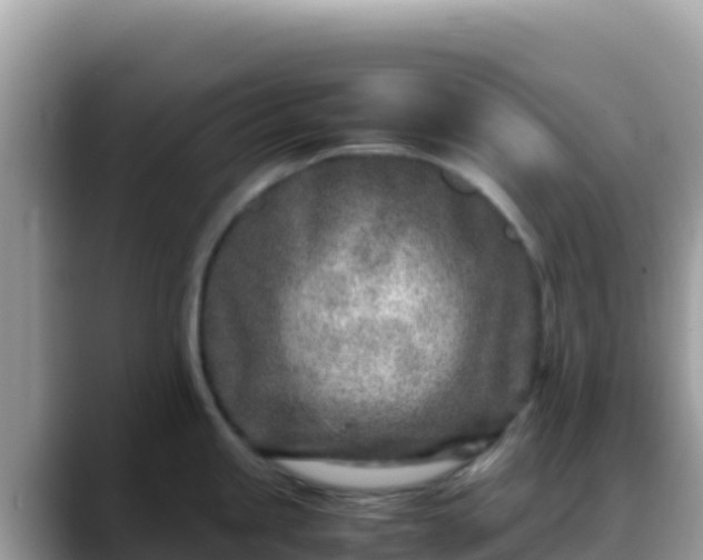 X0000088721245200706071613