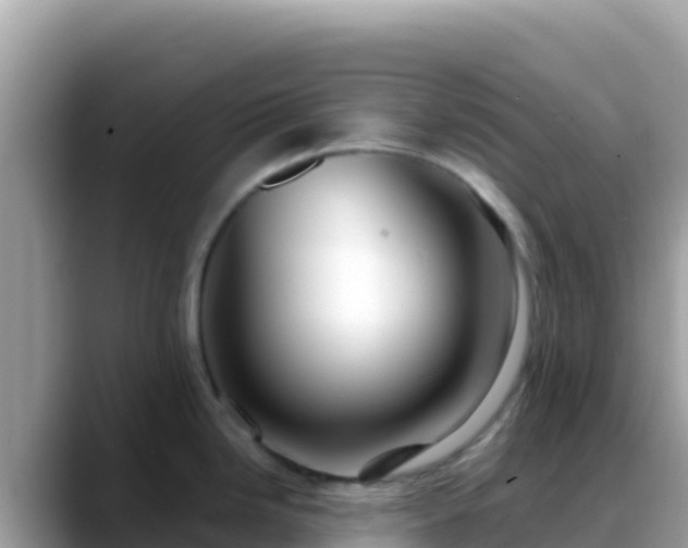 X0000088721246200706071613