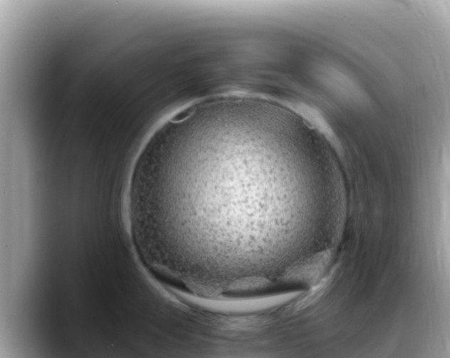 X0000088721247200706071613