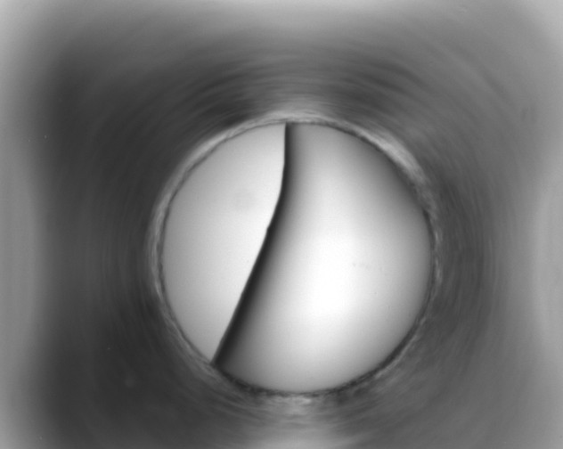 X0000088721248200706071613