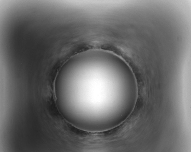 X0000088721253200706071613