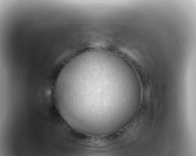 X0000088721254200706071613