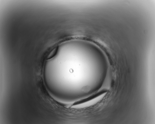 X0000088721255200706071613