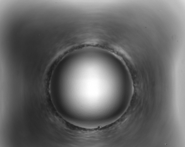 X0000088721256200706071613