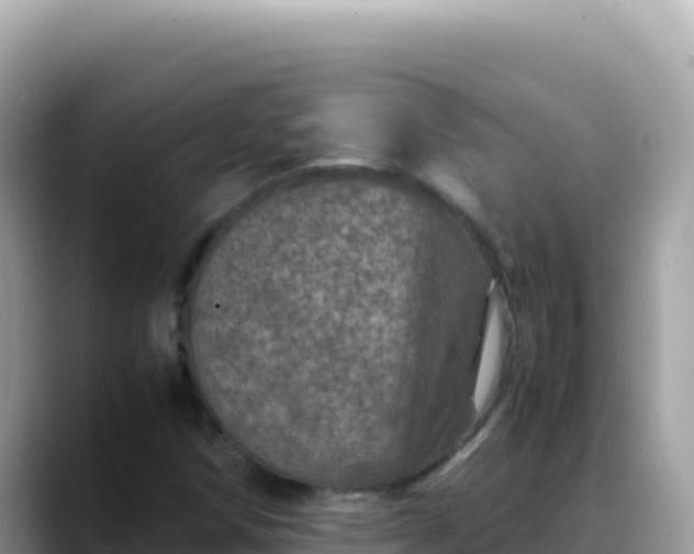 X0000088721258200706071613