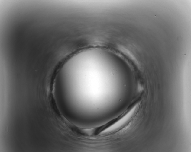 X0000088721261200706071613