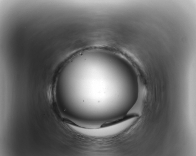 X0000088721262200706071613