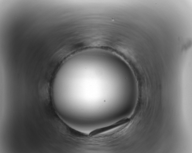 X0000088721265200706071613