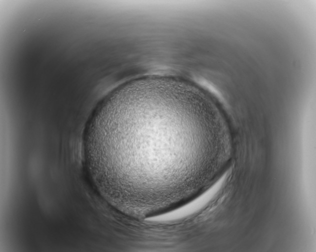 X0000088721267200706071613