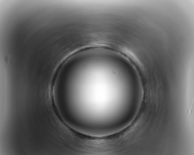 X0000088721268200706071612