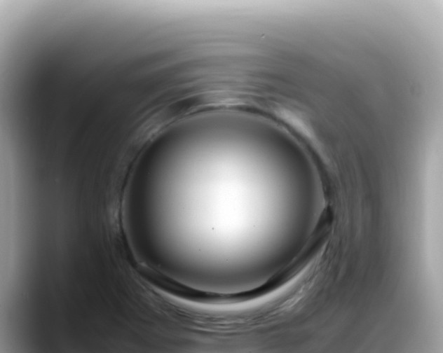 X0000088721273200706071612