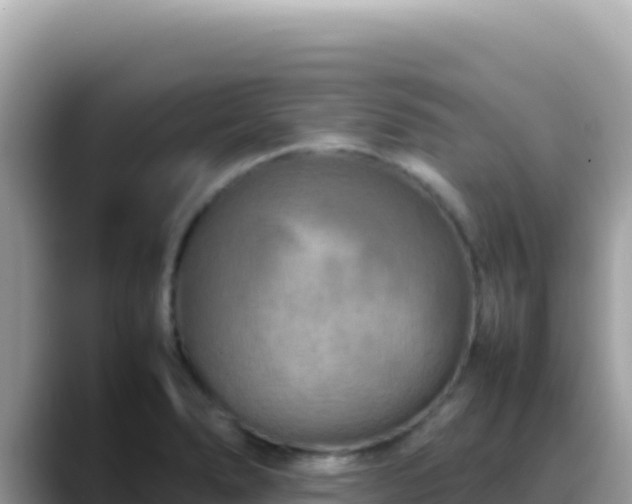 X0000088721278200706071612