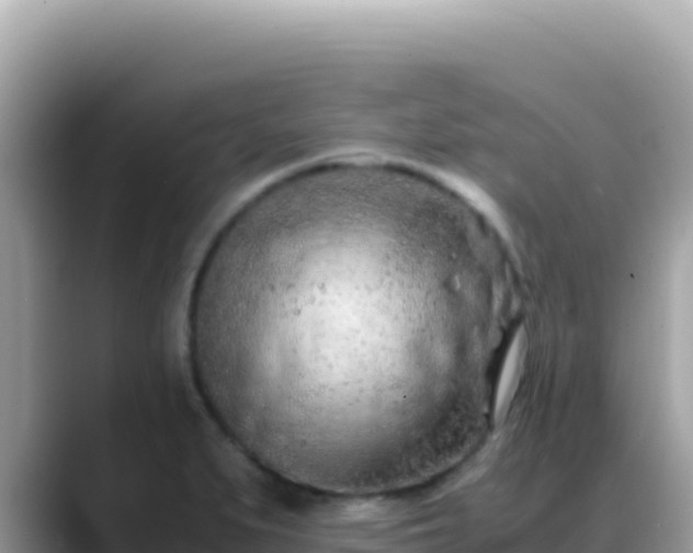 X0000088721279200706071612
