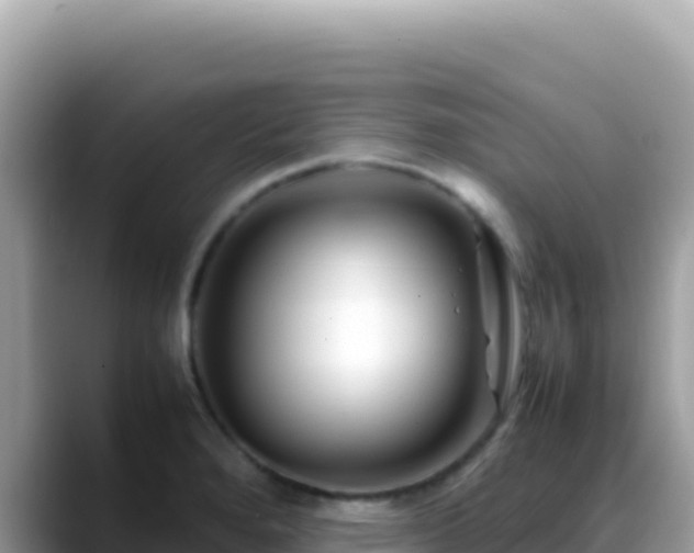 X0000088721280200706071612
