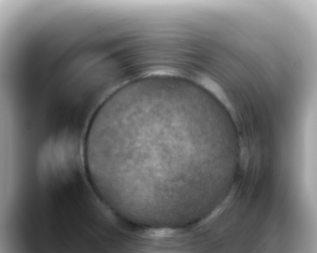 X0000088721282200706071612