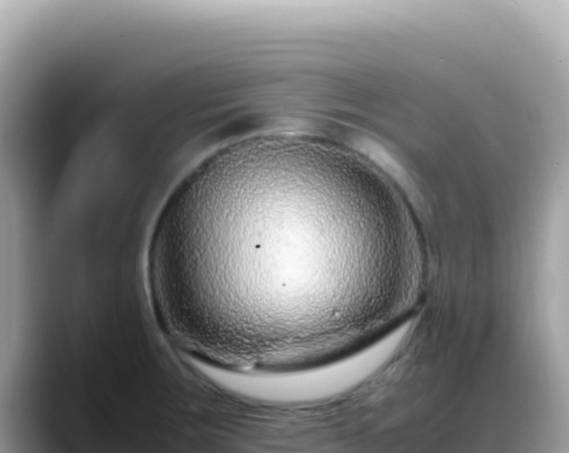 X0000088721283200706071612