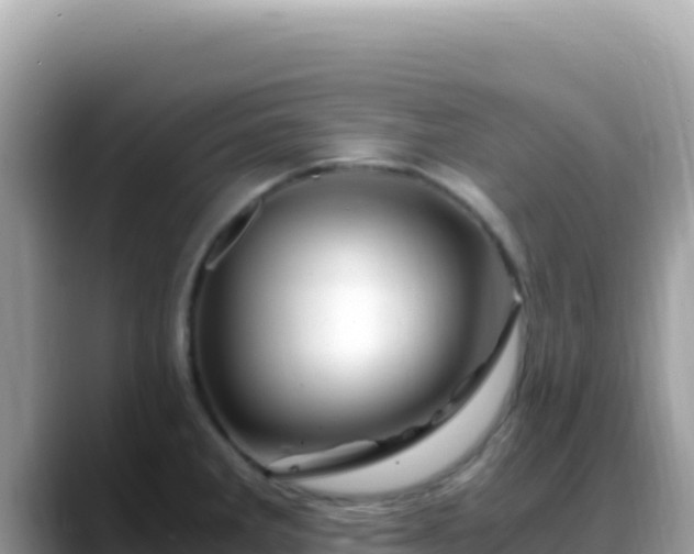 X0000088721285200706071612