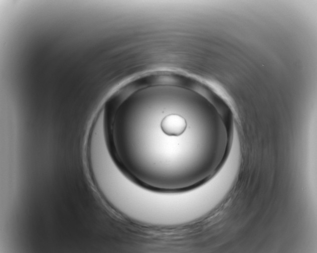 X0000088721287200706071612