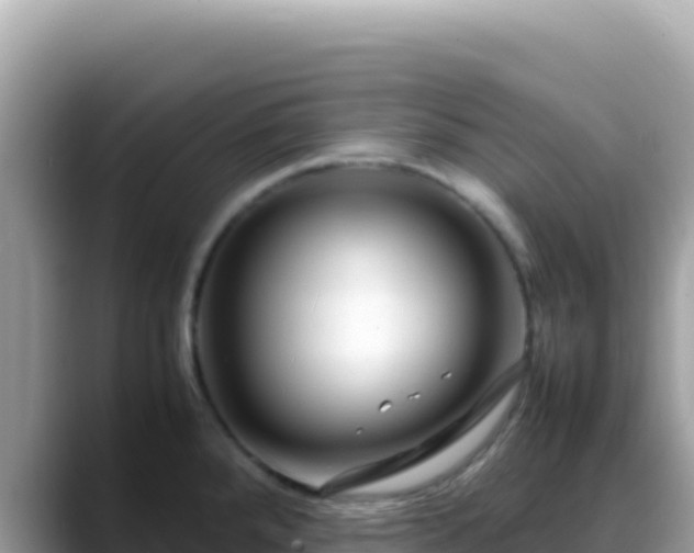 X0000088721288200706071612