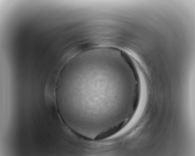 X0000088721289200706071612