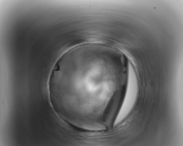 X0000088721291200706071612