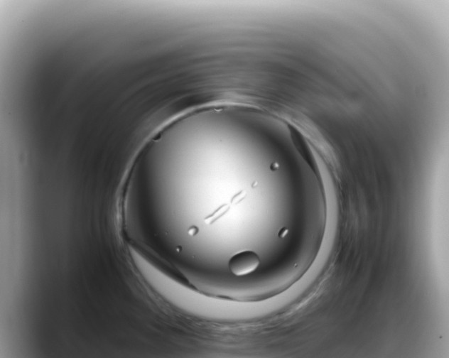 X0000088721292200706071612
