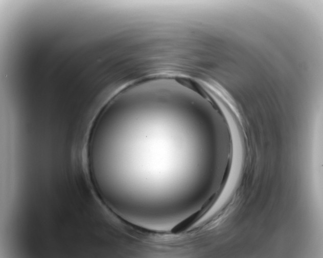 X0000088721293200706071612