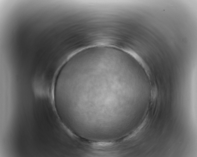X0000088721294200706071612